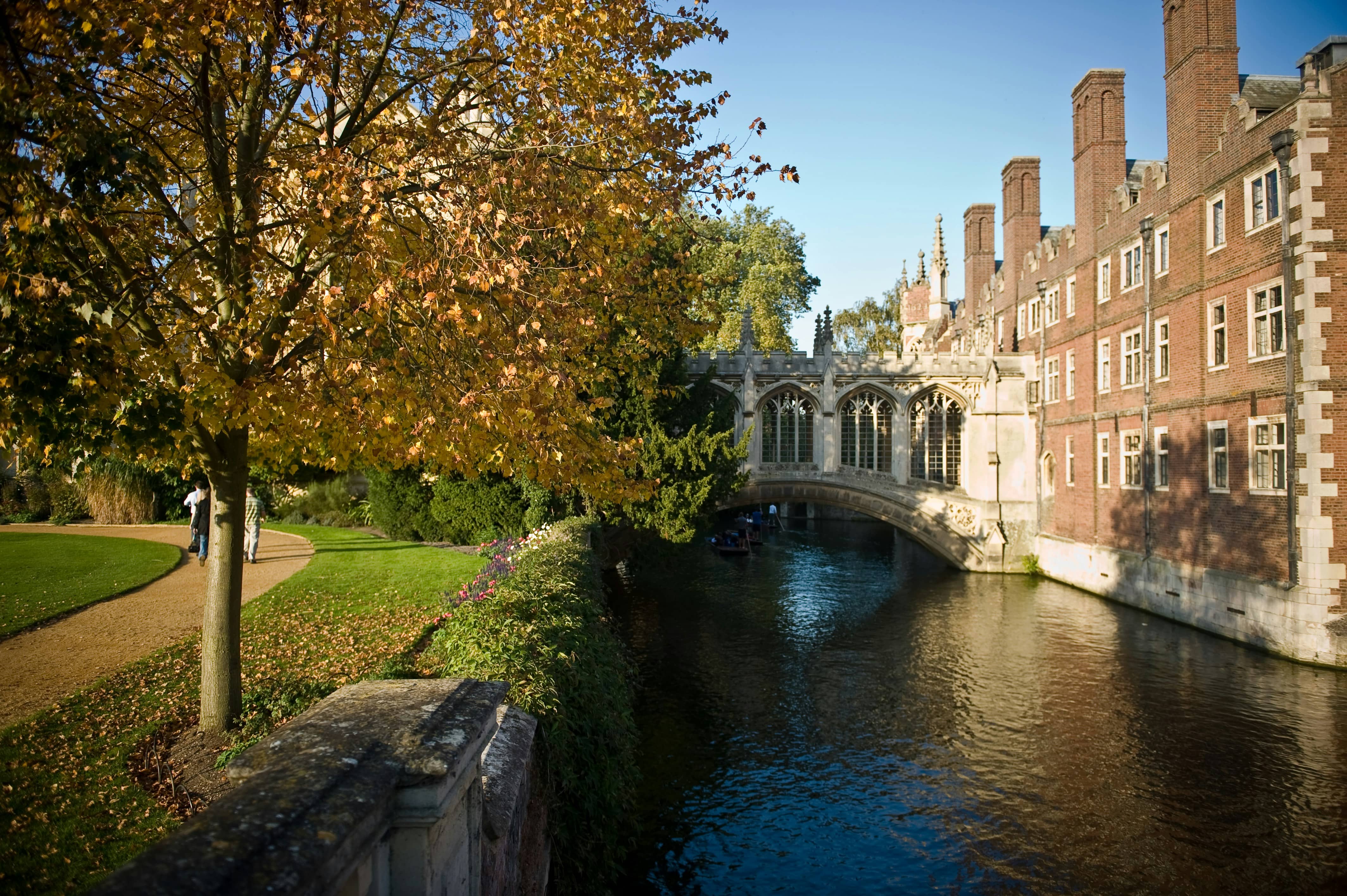 Cambridge Backdrop