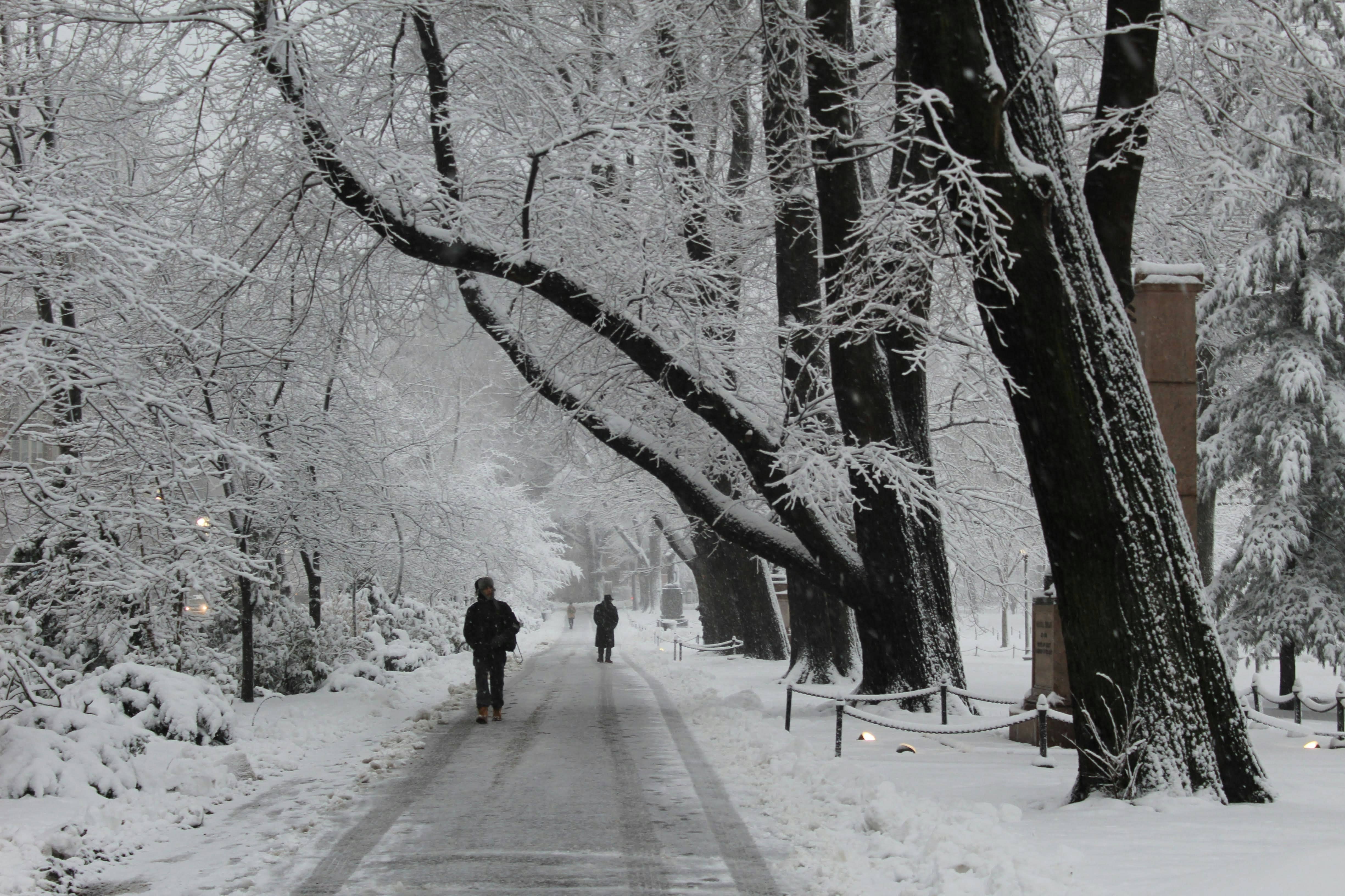 Snowy Park in England