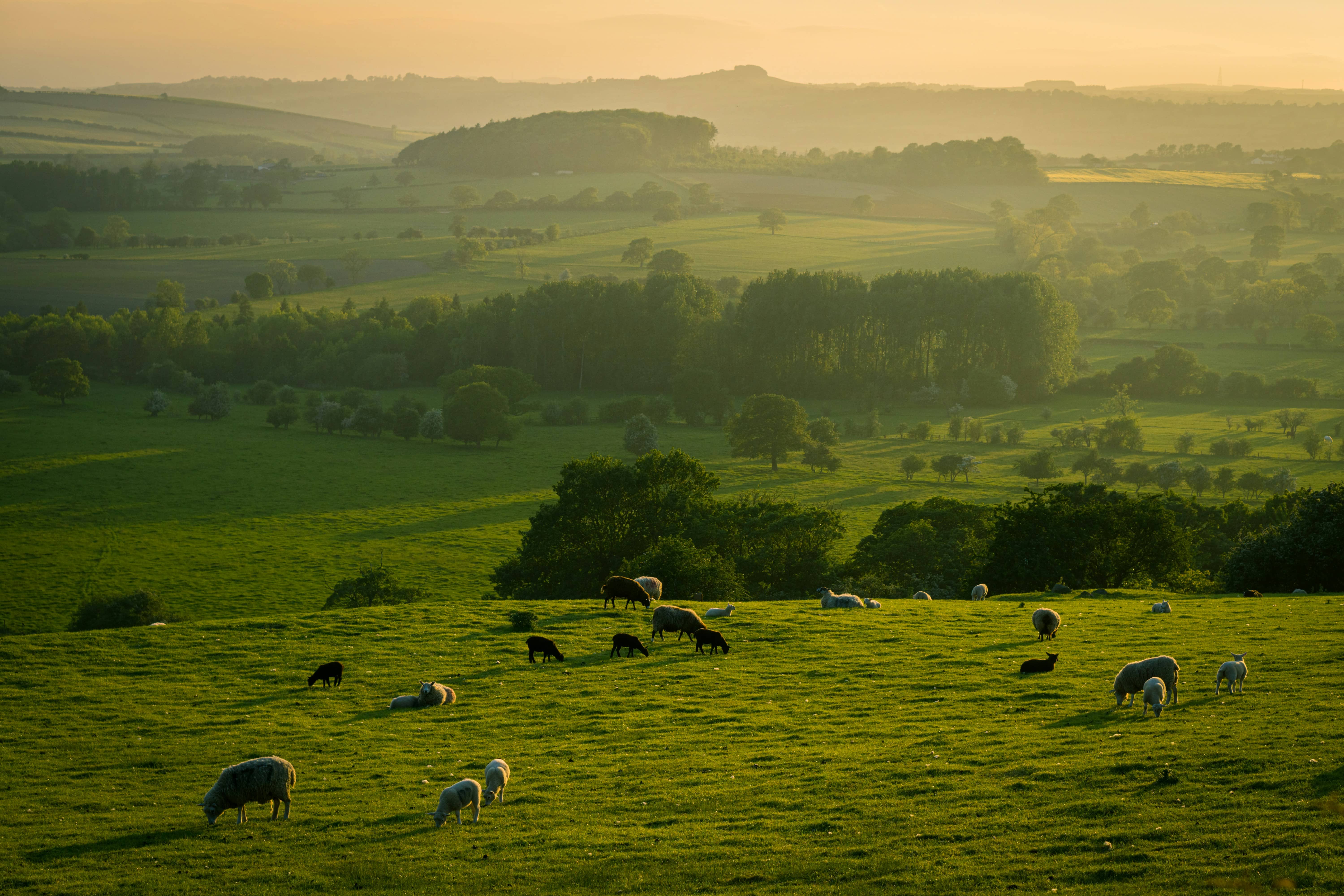 Yorkshire Countryside